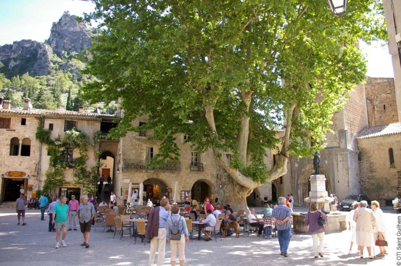 "Le Patio"-Meuble De Tourisme 3 Etoiles -Residence "Les Logis De Beziers"-Garage Optionnel-Coeur De Ville-Plages A 16Km ! Dış mekan fotoğraf
