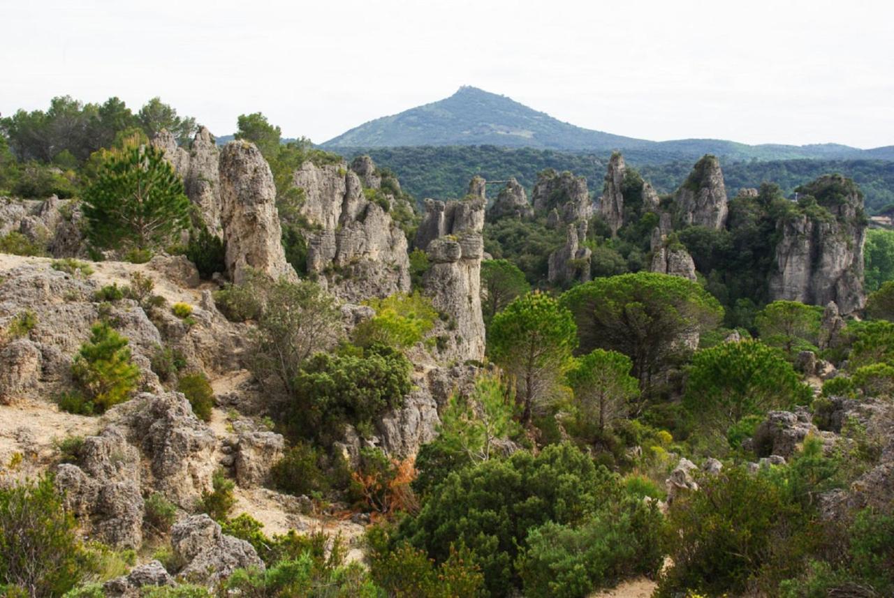 "Le Patio"-Meuble De Tourisme 3 Etoiles -Residence "Les Logis De Beziers"-Garage Optionnel-Coeur De Ville-Plages A 16Km ! Dış mekan fotoğraf