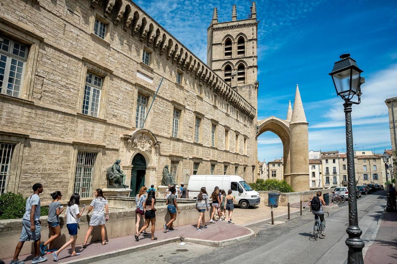 "Le Patio"-Meuble De Tourisme 3 Etoiles -Residence "Les Logis De Beziers"-Garage Optionnel-Coeur De Ville-Plages A 16Km ! Dış mekan fotoğraf